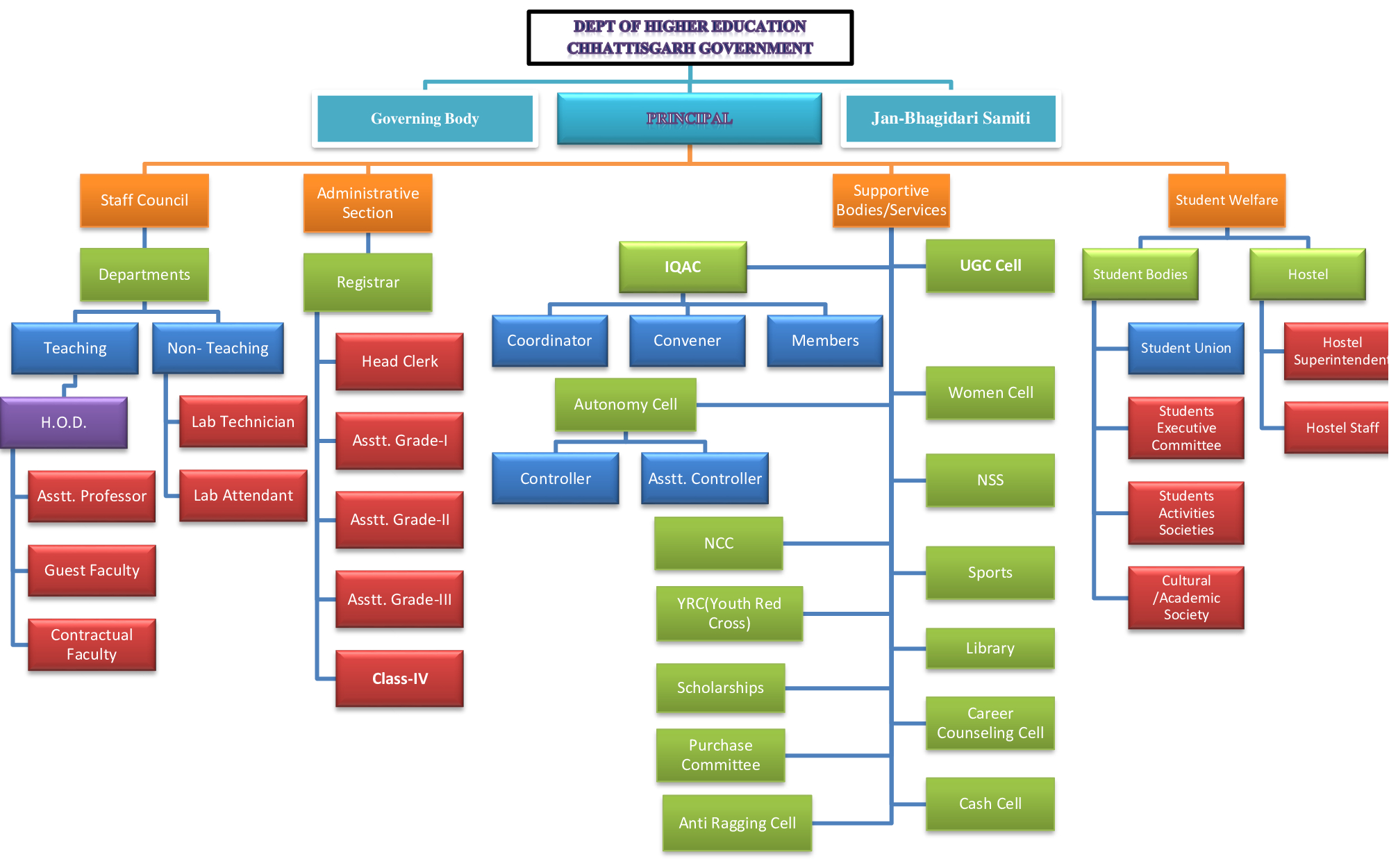 Organogram